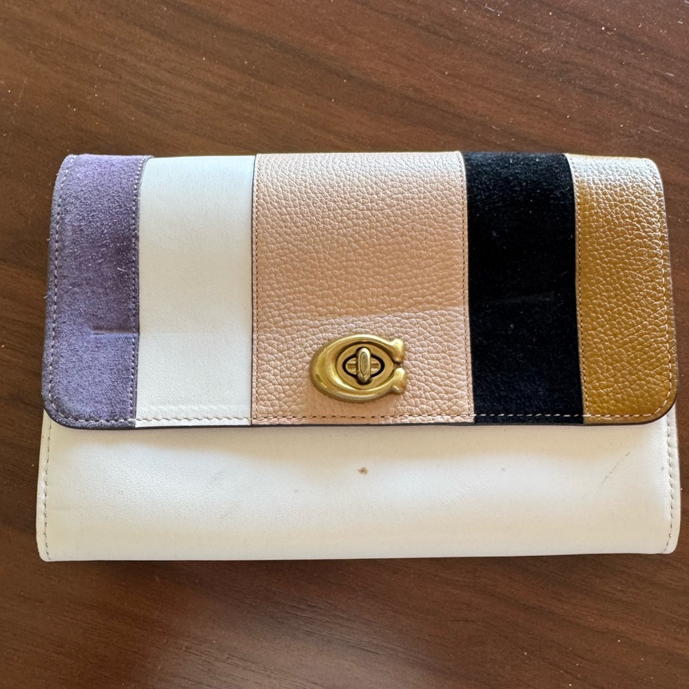 Coach Multicolor Stripe Clutch